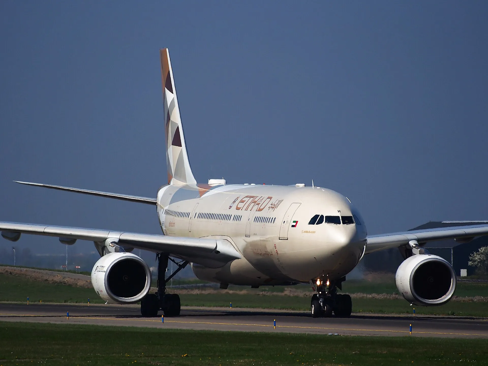 Etihad отменила рейс Дели — Абу-Даби с 200 пассажирами